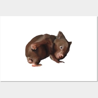 Baby Wombat illustration, joey wombat art, realistic australian wombat artwork. Australian theme decor Posters and Art